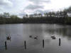 Ladymoor Pool